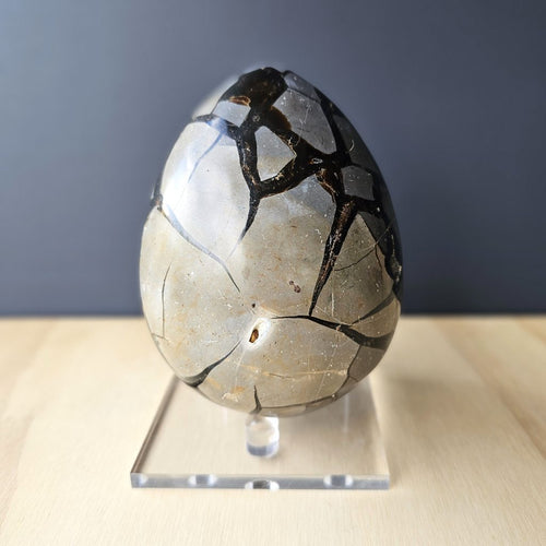 Septarian | Egg 2.388kgs