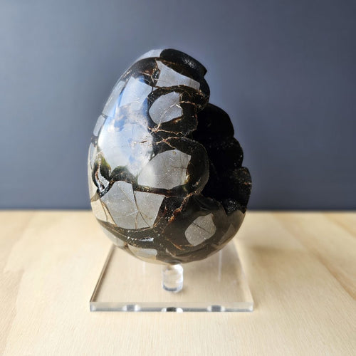 Septarian | Egg 2.388kgs