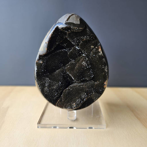 Septarian | Egg 2.464kgs