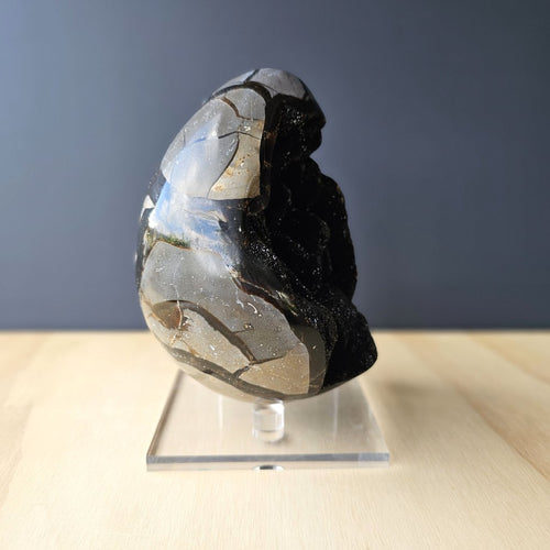 Septarian | Egg 2.464kgs