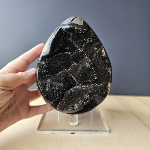 Septarian | Egg 2.464kgs