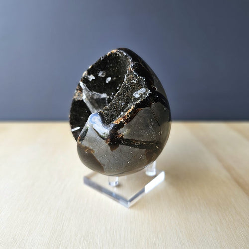 Septarian | Egg 702gms