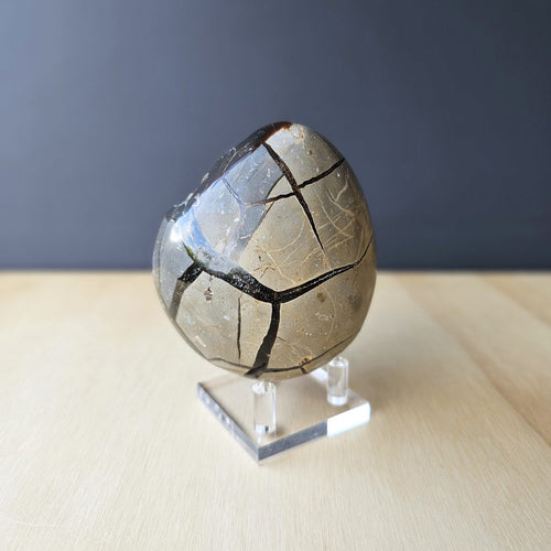 Septarian | Egg 702gms