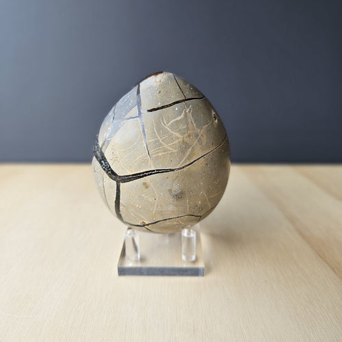 Septarian | Egg 702gms