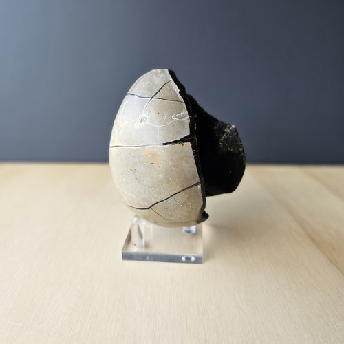 Septarian | Egg 702gms