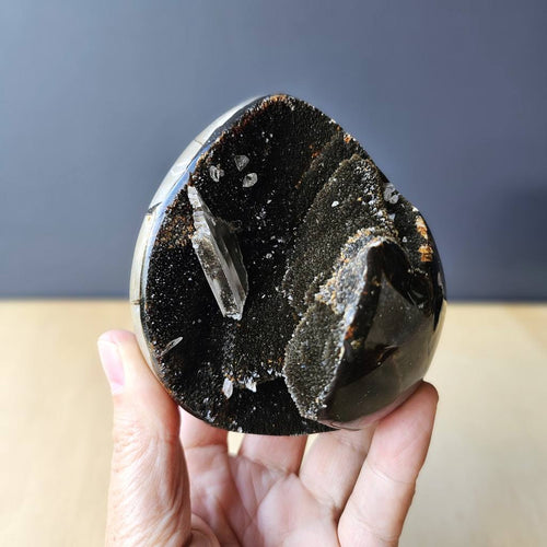 Septarian | Egg 702gms