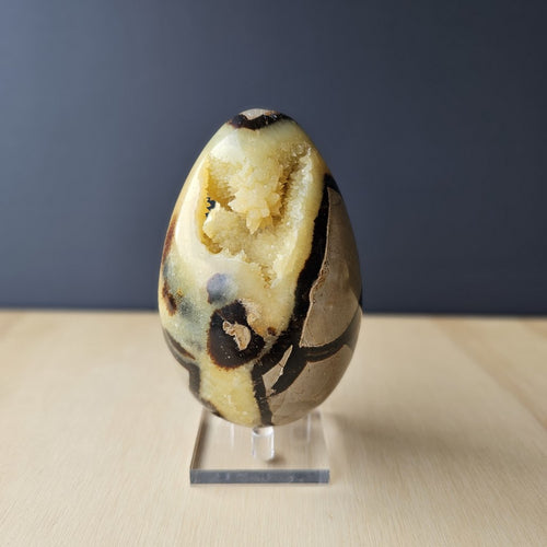 Septarian | Egg 759gms