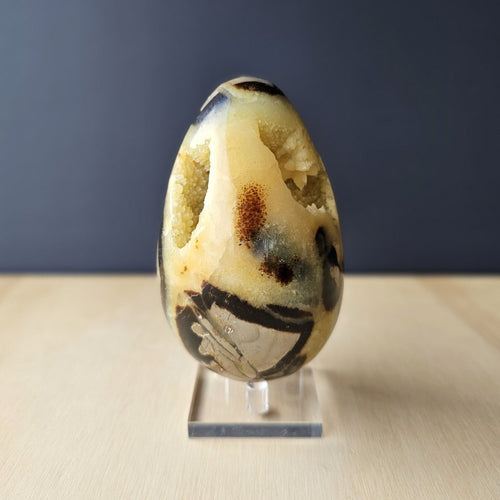 Septarian | Egg 759gms