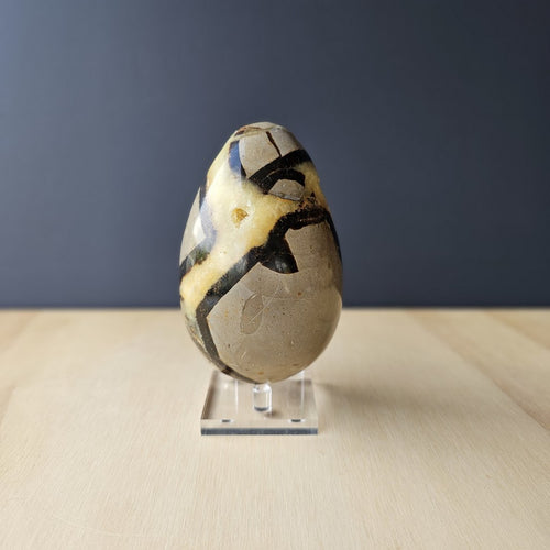 Septarian | Egg 759gms