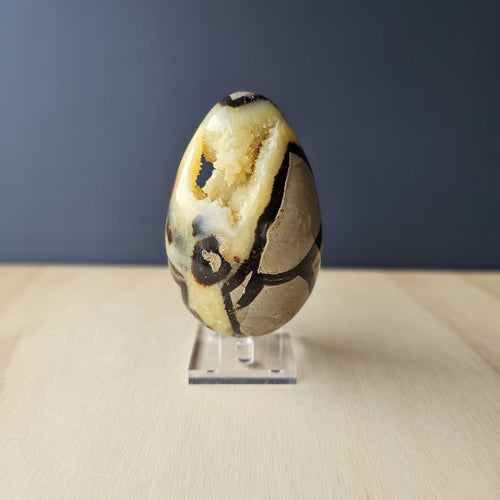 Septarian | Egg 759gms