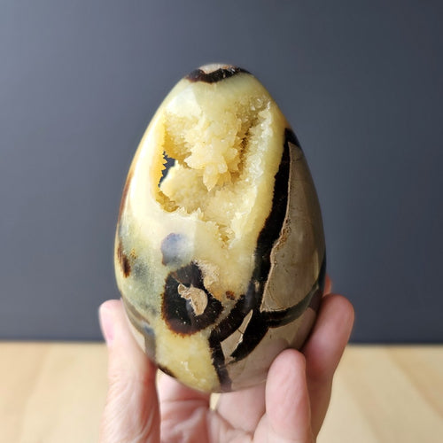 Septarian | Egg 759gms