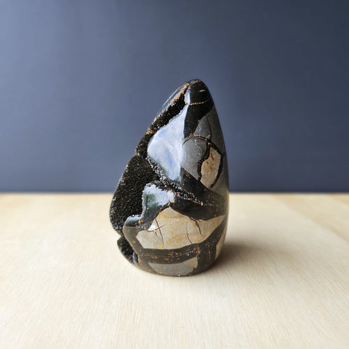 Septarian | Freeform 622gms