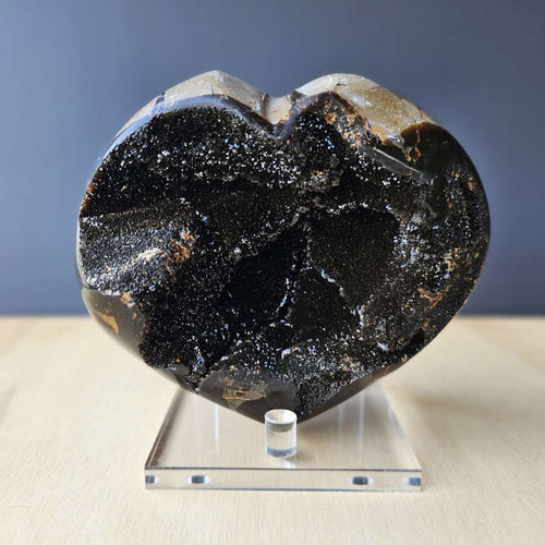 Septarian | Heart 1.29kgs