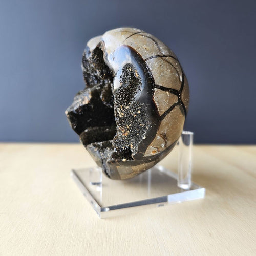 Septarian | Heart 1.29kgs