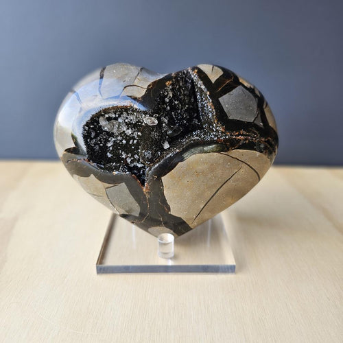 Septarian | Heart 1.3kgs