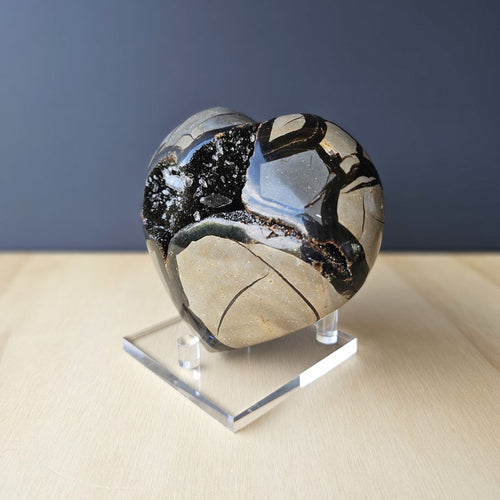 Septarian | Heart 1.3kgs