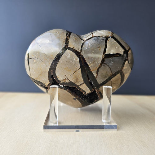 Septarian | Heart 1.3kgs