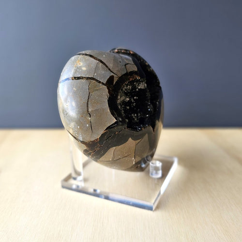 Septarian | Heart 1.3kgs