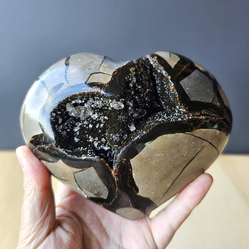 Septarian | Heart 1.3kgs