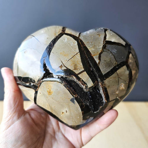 Septarian | Heart 1.3kgs