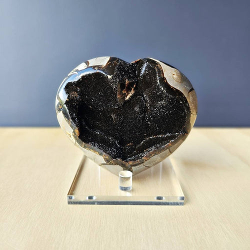 Septarian | Heart 771gms