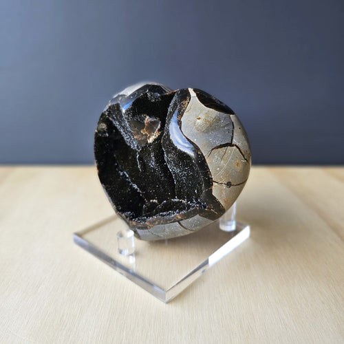 Septarian | Heart 771gms