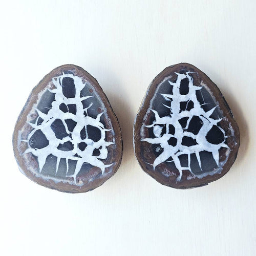 Septarian | Nodule 207gms