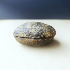 Septarian | Nodule 207gms