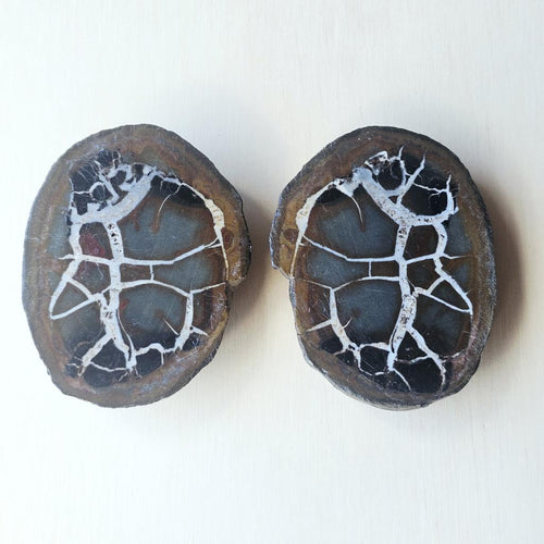 Septarian | Nodule 218gms