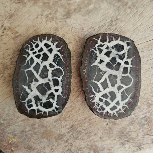 Septarian | Nodule 260gms