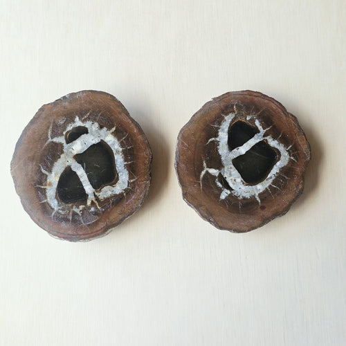 Septarian | Nodule 260gms