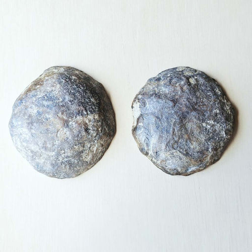 Septarian | Nodule 260gms