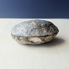 Septarian | Nodule 260gms