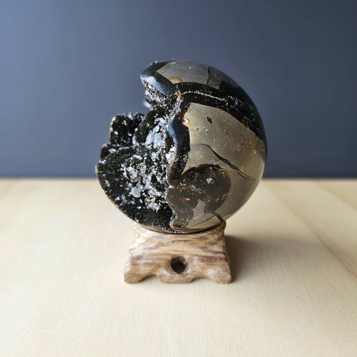 Septarian | Sphere 1.2kgs