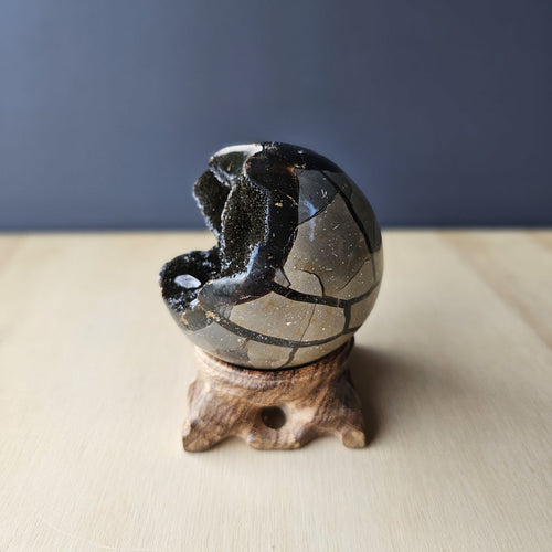 Septarian | Sphere 561gms