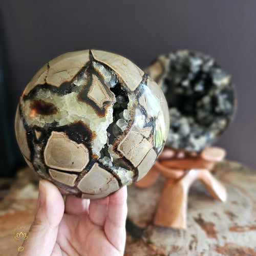 Septarian | Spherical Geode With Lid 2.48kgs