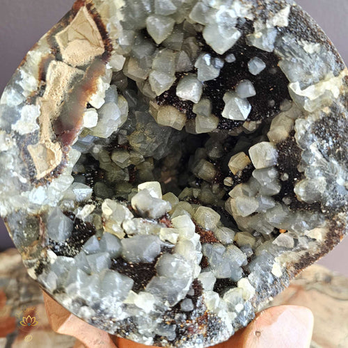 Septarian | Spherical Geode With Lid 2.48kgs