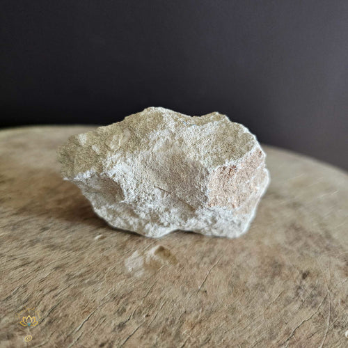 Shark Tooth On Limestone | Fossil 130gms