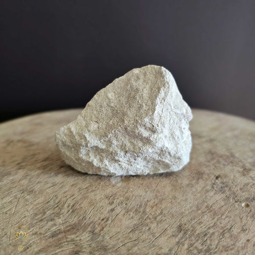 Shark Tooth On Limestone | Fossil 136gms