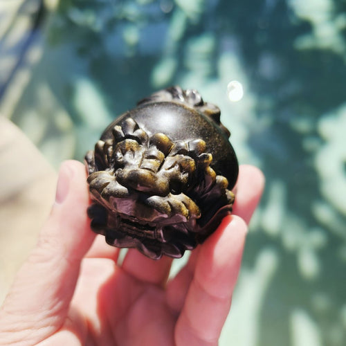 Silver Sheen & Gold Sheen Obsidian Dragon Turtles | Sheen Collective