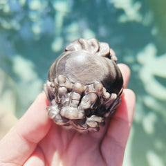 Silver Sheen & Gold Sheen Obsidian Dragon Turtles | Sheen Collective