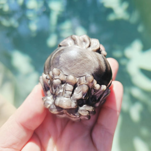 Silver Sheen & Gold Sheen Obsidian Dragon Turtles | Sheen Collective