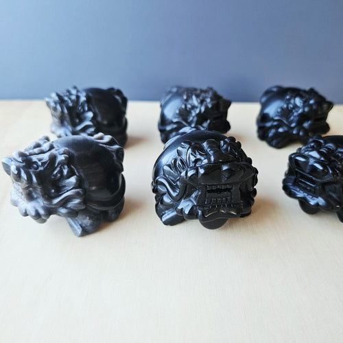 Silver Sheen & Gold Sheen Obsidian Dragon Turtles | Sheen Collective