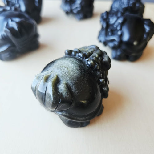 Silver Sheen & Gold Sheen Obsidian Dragon Turtles | Sheen Collective