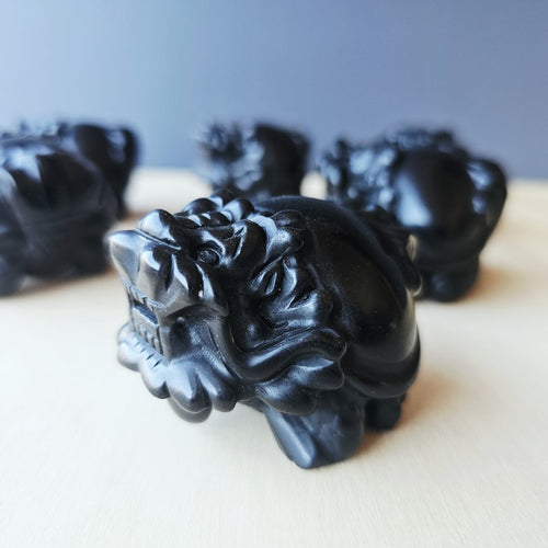 Silver Sheen & Gold Sheen Obsidian Dragon Turtles | Sheen Collective