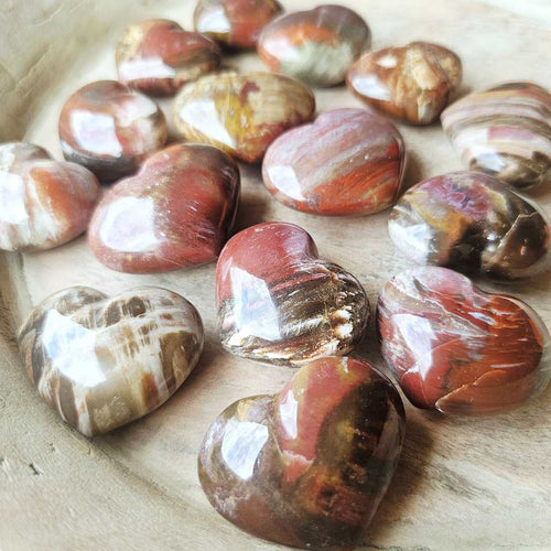 Small Petrified Wood Hearts | Ancient Heartbeat