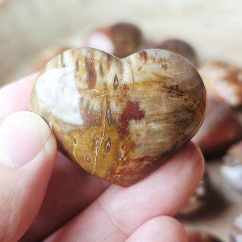 Small Petrified Wood Hearts | Ancient Heartbeat