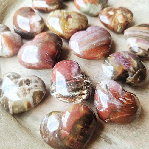 Small Petrified Wood Hearts | Ancient Heartbeat