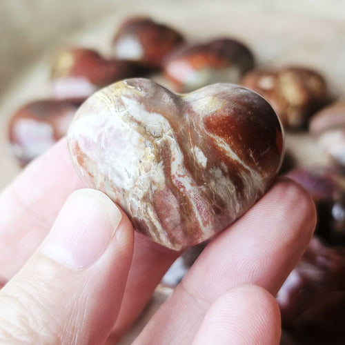Small Petrified Wood Hearts | Ancient Heartbeat