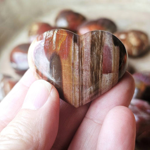 Small Petrified Wood Hearts | Ancient Heartbeat